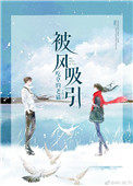 被风吸引被风吸引