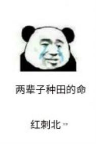 第九农学基地第九农学基地