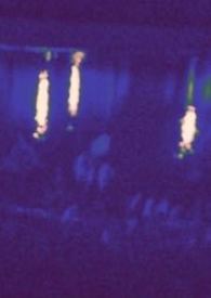 热狗与黑胶（姐狗1v1）热狗与黑胶（姐狗1v1）